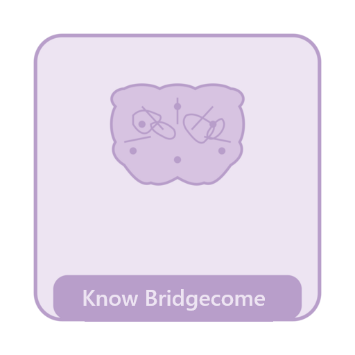 Know Bridgecome логотип